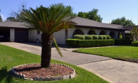 Concrete driveway in front of a residential home with a palm tree in Fort Collins, Colorado