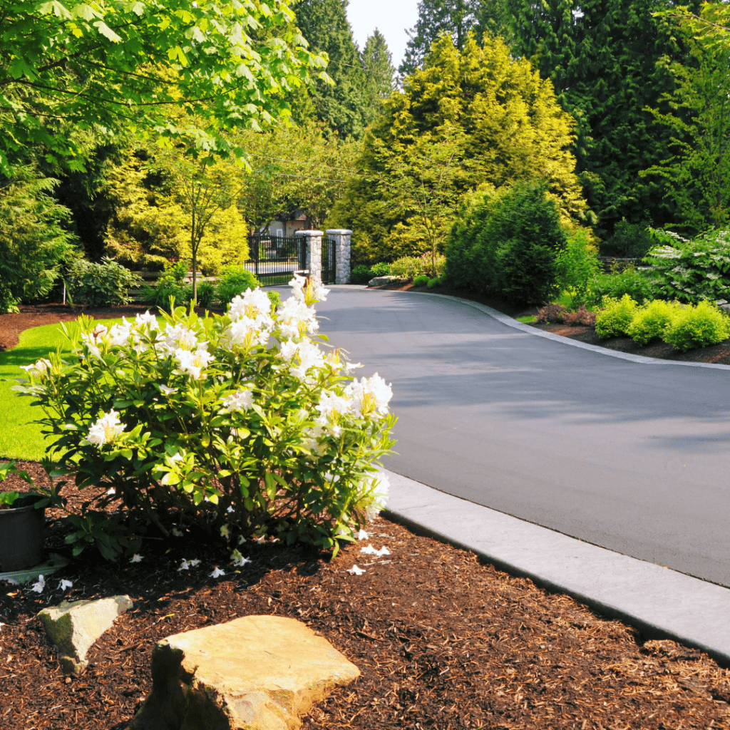 Newly Constructed Concrete Driveway in a Residential Area