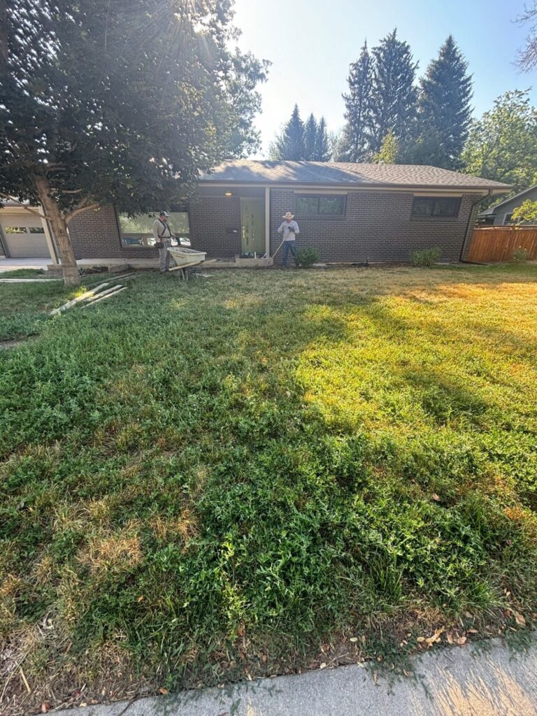 Residential front yard with no sidewalk, overgrown grass in Fort Collins Colorado